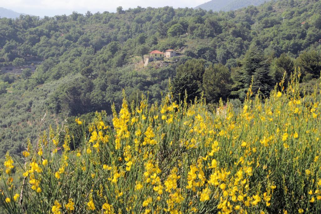 Case Natura Pontedassio Exterior foto